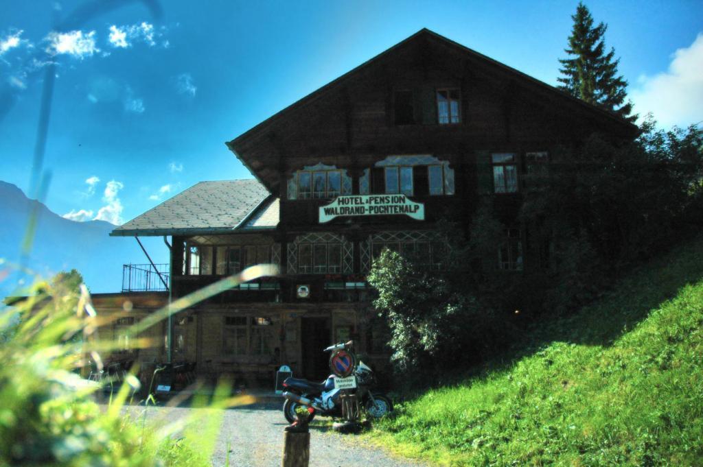 Waldrand * Kiental