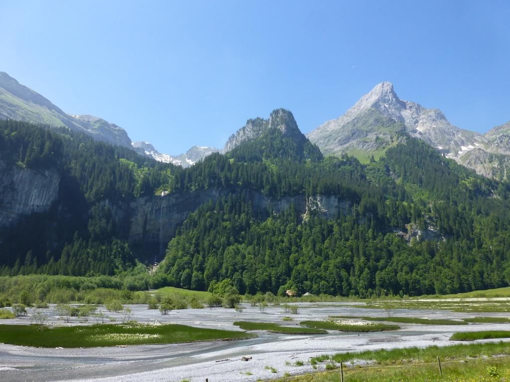 Waldrand Kiental